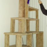 Cat Climbing Structure