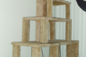 Cat Climbing Structure