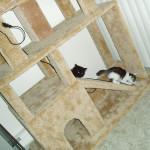 Cat Climbing Structure