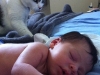 A cat and a boy