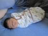 The Little Prince's First Week