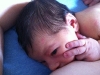 The Little Prince's First Week