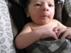 The Little Prince's First Week