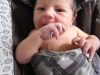The Little Prince's First Week