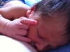 The Little Prince's First Week