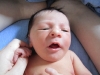 The Little Prince's First Week