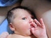 The Little Prince's First Week