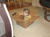 Playing with a box