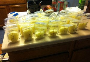 Milk stash, some to give away. My end of September milk stash