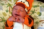Young Sir as Tigger the day before Halloween